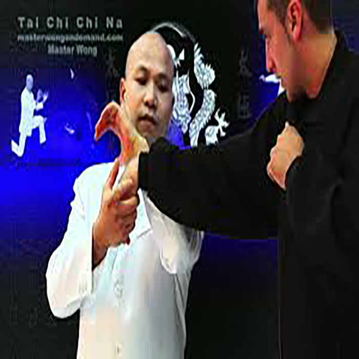 سی دی آموزشی تایچی و کاربد 5 سی دیچینا استاد وانگ