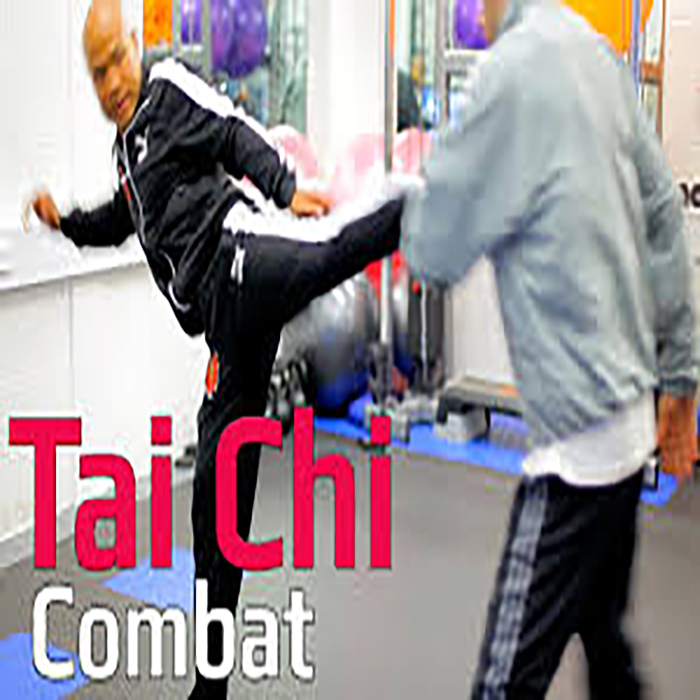 سی دی آموزشی مبارزه به روش تایچی استاد وانگ 4 سی دی