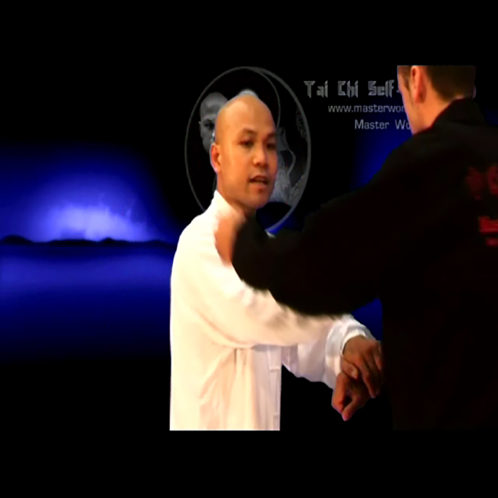 سی دی آموزشی دفاع شخصی در تایچی استاد وانگ4 سی دی